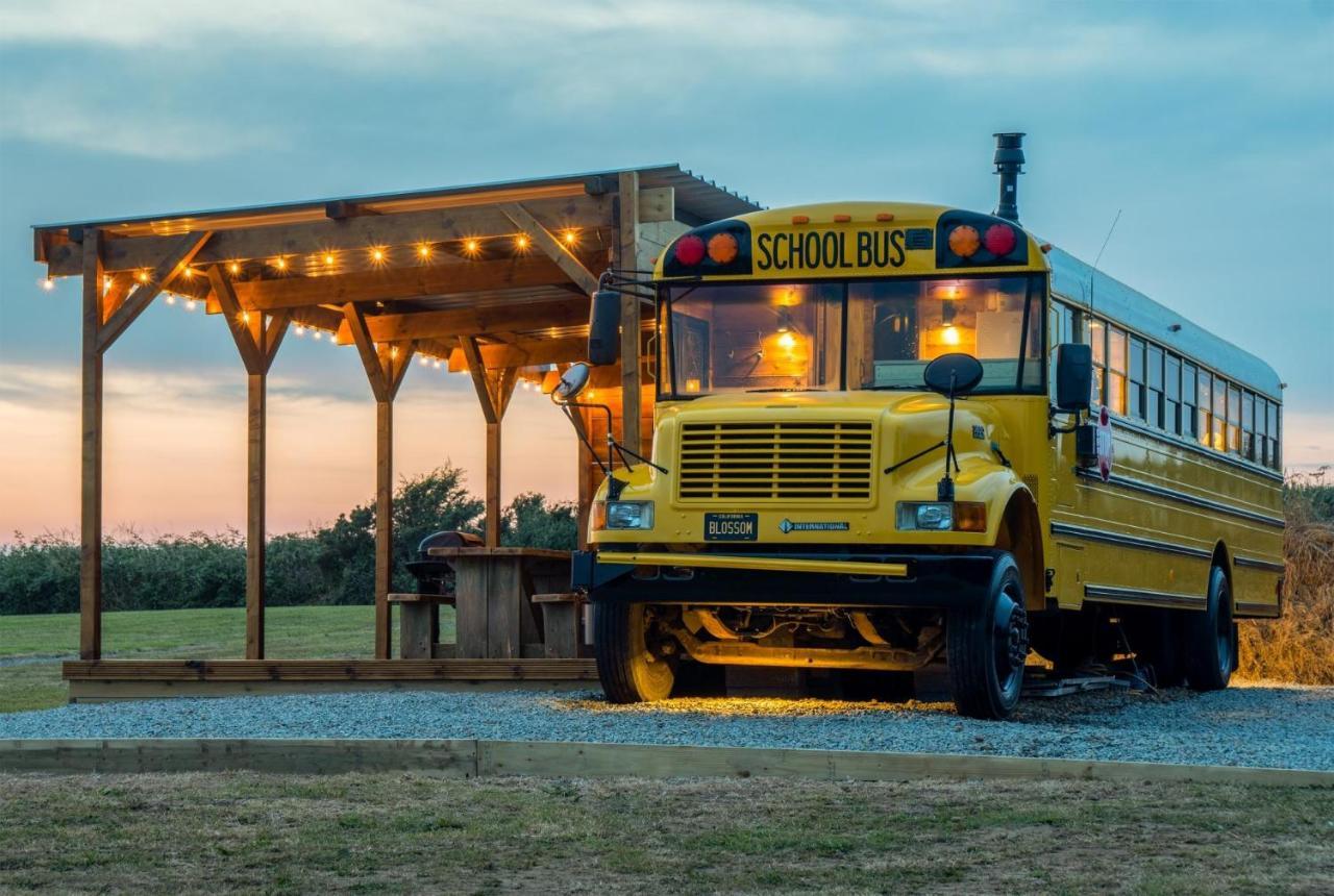 American School Bus - 1 Bedroom - Blossom Farm - Tiers Cross Johnston Buitenkant foto