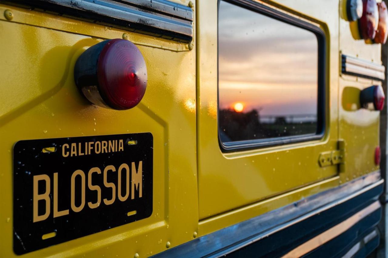 American School Bus - 1 Bedroom - Blossom Farm - Tiers Cross Johnston Buitenkant foto